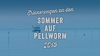 Erinnerungen an den Pellwormer Sommer 2015 [upl. by Mellie696]