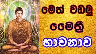 මෙත් වැඩීමඅපි භාවනා කරමු [upl. by Byers]