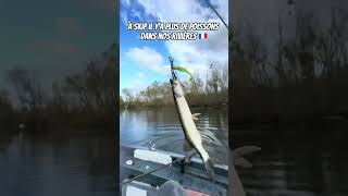 VIDÉO ENTIÈRE DISPONIBLE SUR MA CHAÎNE YOUTUBE shorts remix fishing [upl. by Eiahpets792]