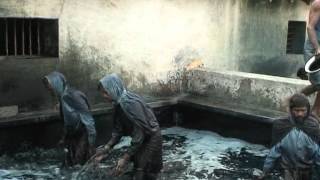 Indigo Dye Extraction [upl. by Calen220]