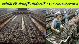 Top 10 Things That Only Exists In Japan  Japan facts in telugu  bmc facts  telugu facts [upl. by Mayman]