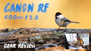 Canon RF 400mm F28 lens review with samples  Gear Review [upl. by Sined898]