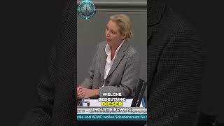 Alice Weidel  Dieselhysterie Bedrohung für die Automobilindustrie [upl. by Aeneas]