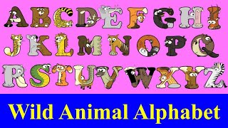 Wild Animals AZ for kids  Alphabetimals ABC  Alphabet Animal AZ  ABC animal flashcards [upl. by Micheal]