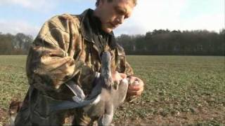 How to be a Pigeon Shooting Expert with James Marchington [upl. by Yltsew137]