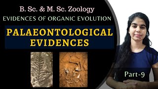 PALAEONTOLOGICAL EVIDENCES  Evolution  B Sc amp M Sc Zoology [upl. by Oiramat]