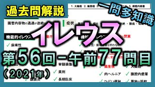 【過去問解説：第56回国家試験午前77問目】腸閉塞（イレウス）【理学療法士・作業療法士・言語聴覚士・看護・柔整・鍼灸】 [upl. by Haslam]