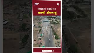 Morbi News  મોરબીના વાંકાનેરમાં નકલી ટોલનાકું  Wankaner  Fake Toll Plaza  Gujarat [upl. by Floss]