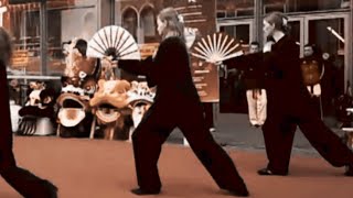 Demonstratie Yang Tai Chi Waaier 18 Form 杨式18势太极扇 Tai Chi School Zuanshi Het Hogeland [upl. by Lewiss]