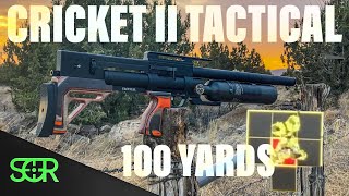 KalibrGun Cricket 2 Tactical REVIEW  22 CALIBER with INSANE ACCURACY [upl. by Arzed963]