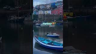 Brixham Harbour viewyoutubeshortsyoutubeshortsharbourpopularuklondonholiday [upl. by Nimaynib252]