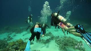 Floreat Scuba Diving Trip to Egypt [upl. by Acemat]