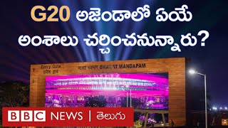 G20 శిఖరాగ్ర సమావేశం 2023 అజెండాలో భారత్ లేవనెత్తబోయే అంశాలివే  BBC Telugu [upl. by Aseeram]