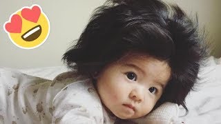 Meet Baby Chanco The Internet’s New Mane Attraction [upl. by Adriena]