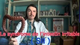 Le syndrome de lintestin irritable   SII [upl. by Haleehs977]