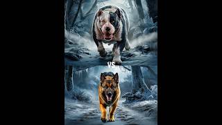 German Shepherd vs Bully Kutta vs Rottweiler Husky labradorretriever Battle [upl. by Hestia470]