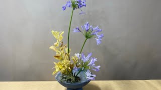 Agapanthus Africanus Floral Design [upl. by Barmen]