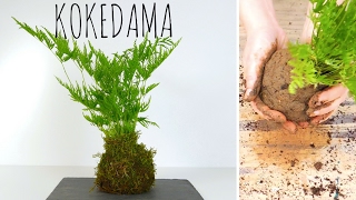 COMMENT FAIRE UN KOKEDAMA [upl. by Lednar]