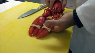 How to prepare a Lobster [upl. by Chaker831]