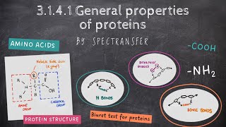 EASY REVISION AQA Alevel Biology 3141 General properties of proteins by SpecTransfer [upl. by Ahsiea]