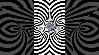 Prepare to Be Hypnotized by This Crazy Optical Illusion [upl. by Akinihs]