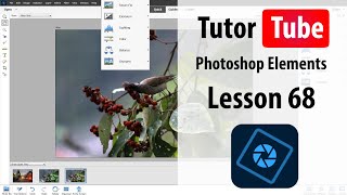 Photoshop Elements Tutorial  Lesson 68  Guided Photomerge Exposure [upl. by Benildis]