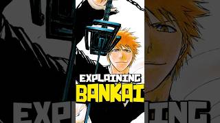 How Does Ichigo’s Bankai Work in BLEACH… TENSA ZANGESTU EXPLAINED [upl. by Elyod]