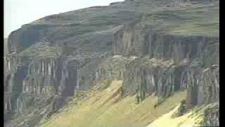 Trees of Stone  Ginkgo Petrified Forest State Park  Part 2 of 3 [upl. by Lamaj]