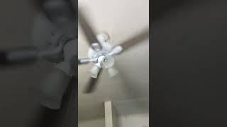 5 Ceiling fans wobbling to the music 🎵 ceilingfan memes wobbling shorts [upl. by Hey]