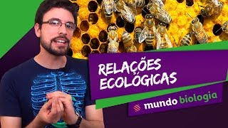 🌱 Ecologia 37 Relações Ecológicas  Biologia  ENEM [upl. by Oicram184]