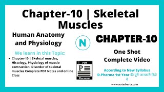 Chapter 10 Skeletal Muscles Complete Class DPharm 1st year Human Anatomy and Physiology [upl. by Akimal]