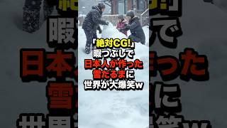 「絶対CG！」暇つぶしで日本人が作った雪だるまに…世界が大爆笑w 海外の反応 [upl. by Nilac526]