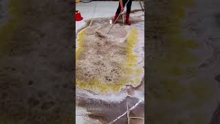 carpertcleaningwithheavyfoam very dirty carpet cleaning with hand shorts carpetcleaning [upl. by Okier]