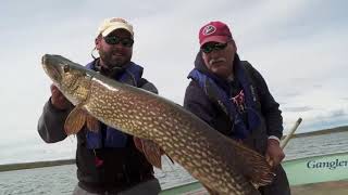 Lund Boats Ultimate Fishing Experience 2018 Episode 12  Gangler’s Pike Adventure [upl. by Hutchinson]