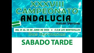 Campeonato de Andalucía ALEVIN de NATACIÓN  DOS HERMANAS 2024  2 jor 4 ses [upl. by Laeno]