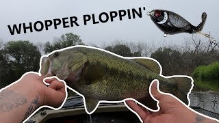 WHOPPER PLOPPIN some LARGIES [upl. by Shorter]