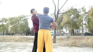 Liang style baguazhang  64 linear palms 2 [upl. by Taylor]