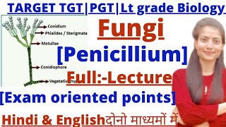 TGTPGT BiologyPenicillium Full lectureFungiLt gradeGIC biologyby Priyal bhati [upl. by Island299]