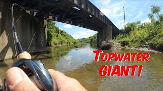 Smallmouth Bass Fishing Whopper Plopper Style on BFS gear [upl. by Jolie778]