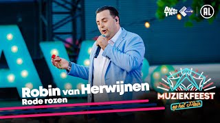 Robin van Herwijnen  Rode rozen • Muziekfeest op het Plein 2023  Sterren NL [upl. by Malchy175]