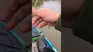 Kayak CREEK CRAPPIE Fishing‼️ [upl. by Hylan869]