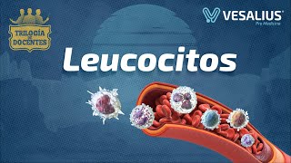 LEUCOCITOS [upl. by Vargas]