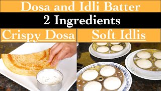 Dosa and Idli Batter with Two Ingredients [upl. by Levy]