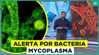 Alerta por bacteria Mycoplasma Los cuidados de la peligrosa neumonía [upl. by Gut]