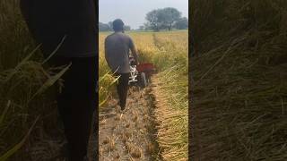 Power weeder with reaper working on field GYDIndian Agro Tech Kurnool  9666462064 [upl. by Ellenod61]