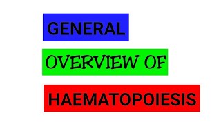 HAEMATOPOIESIS OVERVIEW [upl. by Naniac384]