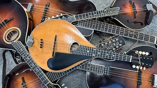 Explore the Mandolin Family Mandola Octave Mandolin Mandocello Tenor Guitar Bouzouki Etc [upl. by Fidelas]