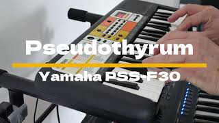 I Played My Own Dance Track quotPseudothyrumquot On The Yamaha PSSF30 Mini Keyboard [upl. by Lehcsreh]