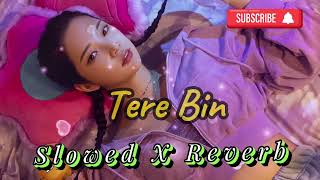 Tere Bin Dil Bejan He 💯💯SlowedReverbVeral youtubeNk Lofi Lite [upl. by Navada]