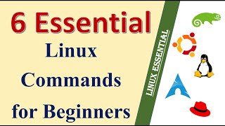 Unlock the Secrets of Linux 6 Essential Commands Every Beginner Must Know [upl. by Beyer]